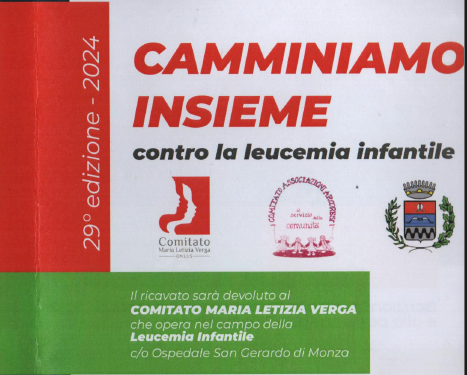 Scopri di più sull'articolo CAMMINIAMO INSIEME CONTRO LA LEUCEMIA INFANTILE